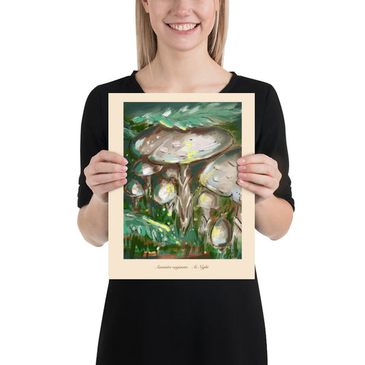 Amanita Vaginata || Art Print